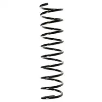 2x Spidan Fahrwerksfeder 49287 Hinterachse Renault Twingo