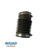 BUGIAD BIH18156 Luftschlauch für FORD