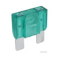 HERTH+BUSS ELPARTS 50295543066 Sicherung 30A hellgrün