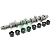 INA 428 0042 30 NockenwelleSet