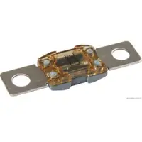 HERTH+BUSS ELPARTS 50295874 Sicherung 300A grau