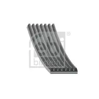 FEBI BILSTEIN 29032 Keilrippenriemen für BMW, LAND