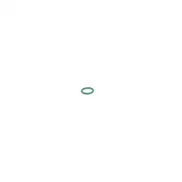 BOSCH 1 928 300 719 Gummiring