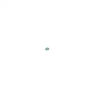 BOSCH 1 928 300 887 Gummiring