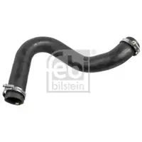 FEBI BILSTEIN 175705 Ladeluftschlauch für FORD
