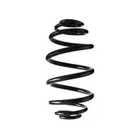 2x Spidan Fahrwerksfeder 86429 Hinterachse Opel Vectra C