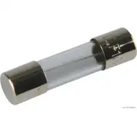 HERTH+BUSS ELPARTS 50295056 Sicherung 10A