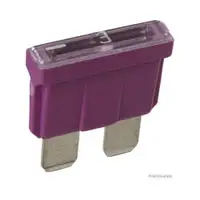 HERTH+BUSS ELPARTS 50295503 FLACHSTECKSICHERUNGEN 3 AMP