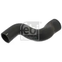 FEBI BILSTEIN 47163 Ladeluftschlauch für FORD