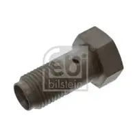 FEBI BILSTEIN 39618 Rückschlagventil für DAF