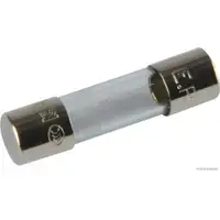 HERTH+BUSS ELPARTS 50295044 Sicherung 0.5A