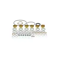 Dichtungssatz Einspritzpumpe Bosch 2 417 010 010 für Daf für Iveco für Mack