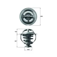 MAHLE TX 117 95D Thermostateinsatz mit Dichtung