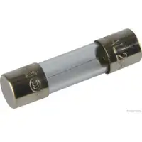 HERTH+BUSS ELPARTS 50295054 Sicherung 6.3A