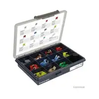 HERTH+BUSS ELPARTS 54295570 Sortiment, Sicherungen 111, Mini-Flachstecksicheru