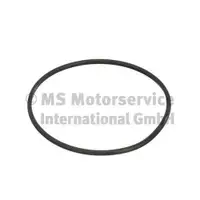 Dichtung Kraftstoffbehälterverschluss Pierburg 3.32038.02.0 für Renault