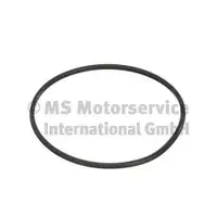 PIERBURG 3.32038.02.0 KRAFTSTOFFTANKDICHTUNG für RENAULT, DACIA, SMART, NISSAN