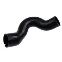 BUGIAD 81688 Ladeluftschlauch für FIAT
