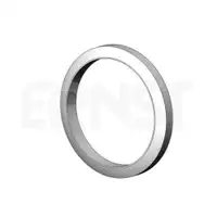 Dichtring Abgasrohr Ernst 495561 für Renault Vorne