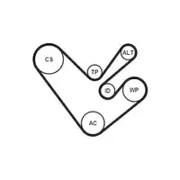CONTINENTAL CTAM 6PK1555K4 Keilrippenriemen Kit für VW