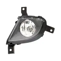 HELLA 1N0 010 084-011 NSW li Halogen BMW