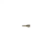 BOSCH 0 433 172 004 Einspritzdüse