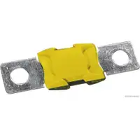 HERTH+BUSS ELPARTS 50295870 Sicherung 100A gelb