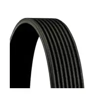 CONTINENTAL CTAM 8PK1435 Keilrippenriemen