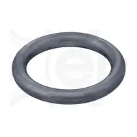 ELRING 569.390 Dichtring, Wasserpumpe für RENAULT, NISSAN, FIAT, OPEL