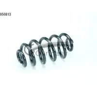 CS Germany 14.950.813 Schraubenfeder