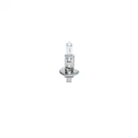 BOSCH 1 987 302 411 Glühlampe H1 70W 24V