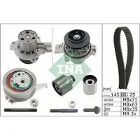 INA 530 0650 31 Wapu + ST Kit