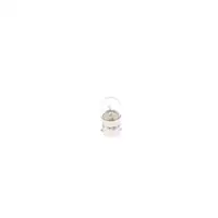 BOSCH 1 987 302 706 Glühlampe R10W 10W 24V