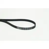CONTINENTAL CTAM 5PK1230 ELAST Keilrippenriemen