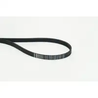 CONTINENTAL CTAM 5PK1230 ELAST Keilrippenriemen
