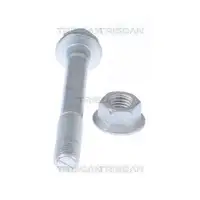 TRISCAN 8500 11418 BOLZENSATZ
