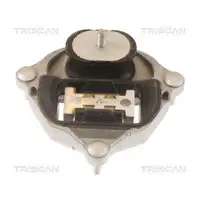 Lagerung Automatikgetriebe Triscan 8505 29215 für Audi Hinten