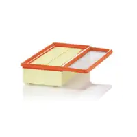 MANN-FILTER C 24 080 Luftfilter für OPEL, FIAT