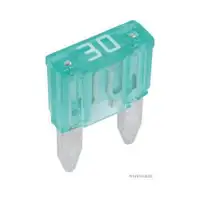 HERTH+BUSS ELPARTS 50295781 Sicherung 30A grün