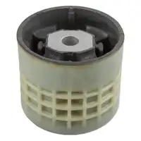 Lagerung Motor Lemförder 44141 01 für Skoda für VW für Cupra für Audi Hinten