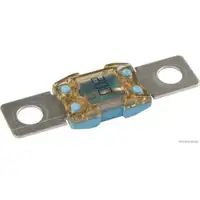 HERTH+BUSS ELPARTS 50295873 Sicherung 200A blau