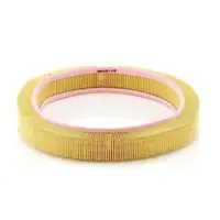 MANN-FILTER C 42 098 Luftfilter