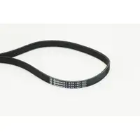 CONTINENTAL CTAM 5PK1427 Keilrippenriemen