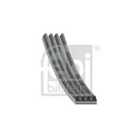 FEBI BILSTEIN 104566 Keilrippenriemen für MAN