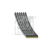 FEBI BILSTEIN 183219 Keilrippenriemen