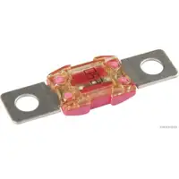 HERTH+BUSS ELPARTS 50295879 Sicherung 250A rosa