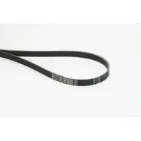 CONTINENTAL CTAM 6PK1390 EXTRA Multi V-Belt