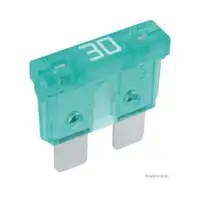 HERTH+BUSS ELPARTS 50295430 Sicherung 30A grün