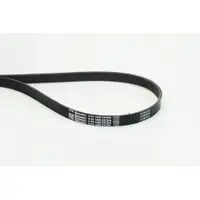 CONTINENTAL CTAM 6PK1098 EXTRA Multi V-Belt