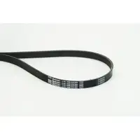 CONTINENTAL CTAM 6PK1098 EXTRA Multi V-Belt